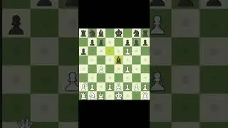 CrazyHouse Chess (The Pieces you Take will be added to your pieces).