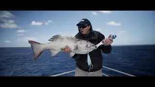 Nomad Sportfishing Quick Trolling Session