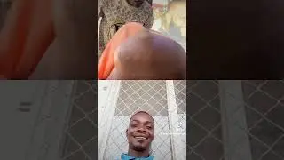 meilleur coiffeur du monde