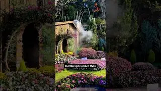 Đ&agrave; Lạt &ndash; The Enchanting City of Flowers and Cool Weather!