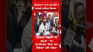 ਕੀ ਭਾਜਪਾ 'ਚ ਜਾ ਰਹੇ Charanjit Singh Channi ? ਸਾਹਮਣੇ ਆਇਆ ਬਿਆਨ | Punjab Congress