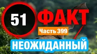 51 Уникальный Факт О Котором Вы Не Знали