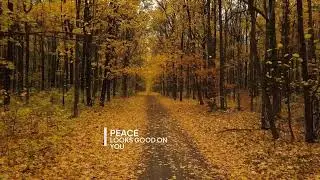 Slow Down & Breathe | 3 Minutes of Calm Quotes with Nature Scenery