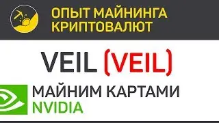 Veil (VEIL) майним картами Nvidia (algo X16RT) | Выпуск 131 | Опыт майнинга криптовалют