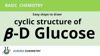 Easy tips to  draw cyclic structure of BETA-D(+)GLUCOSE  / 𝞫- glucose /Biomolecules