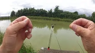 Traditional Float Fishing with Bread & Dog Biscuits - Rigs, Tips & Tactics - Catch More Fish