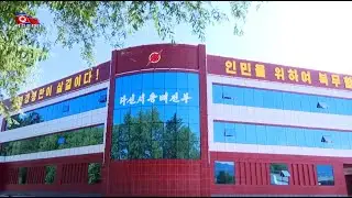 Innovative Successes Made in DPRK [English]