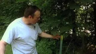 Mini Farming Guide to Composting