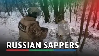 Russian sappers defuse French-made SCALP cruise missile in Kursk region, ministry says