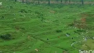 Beauty#pakistan#kumrat#dir upper respiratory problems with me and my family👪 is not good enough f