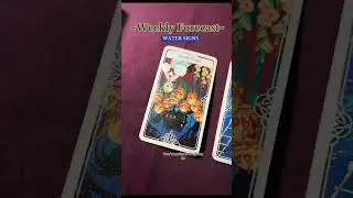 Weekly Tarotscope~WATER SIGNS 🌊 7/22/24-7/28/24| I Do Not Own The Copyrights To This Song