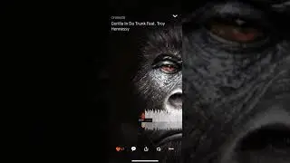 Cyuhnide - Gorilla In Da Trunk (Feat. Troy Hennessy)