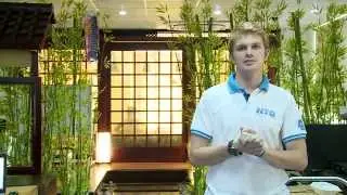 NTQ Solution Introduction