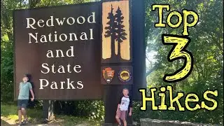Best HIKING TRAILS Redwood National Park with KIDS!!!