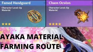 RAIDEN SHOGUN / AYAKA  MATERIAL FARMING ROUTE | Handguard + Ruin Sentinel Mob Farming Route Guide