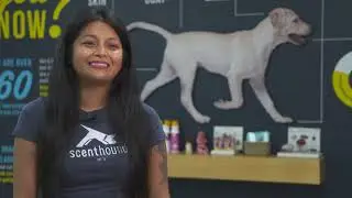 Scenthound Employee Testimonial