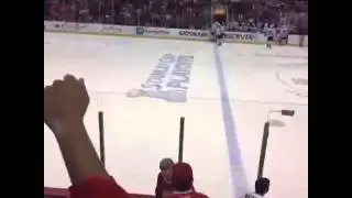 Throwing and octopus on the ice at a red wings games