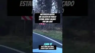 LOBO CA&Ccedil;ANDO CICLISTA #dangdut #terrors #fy #fypage #fypyoutube #fyp #shorts #humor #sobreviv&ecirc;ncia