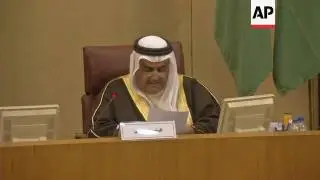 Egyptian becomes new Arab League chief