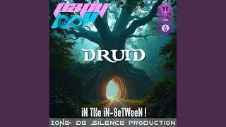 DRuiD iN THe iN-BeTWeeN !