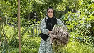 Traditional Lavangi Chicken Over Firewood | Village Cooking in Iran