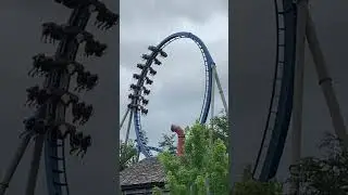 WILD EAGLE roller coaster LOOP at DOLLYWOOD #amusementpark #rollercoaster #dollywood