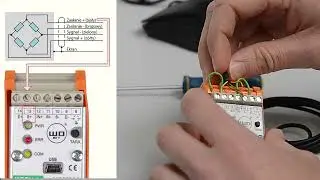 Jak podłączyć czujnik tensometryczny ze wzmacniaczem WDT11? | Instrukcja krok po kroku