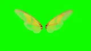 4K Green Screen Free - FLYING FAIRY WINGS
