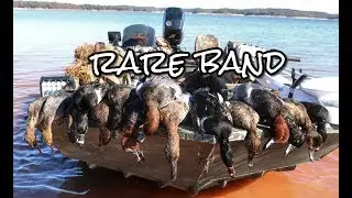 RARE Banded Duck!! Georgia Duck Hunt 2017