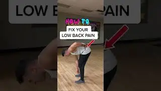 Exercises For Low Back Pain You Should Try (Pain with Sitting For Too Long, Bending Over, etc.)