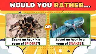 Are You Brave Enough to Take the SCARIEST Would You Rather Challenge of 2024