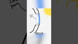 The secret behind dimmable plane windows!