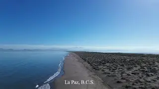 Episodio 4-Megafauna en La Paz, B.C.S. / Episode 4-Megafauna in La Paz, B.C.S.