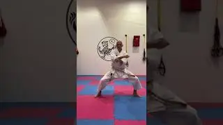 Clips of Shotokan & Shito-Ryu Kata 👊🏽 #shotokan #shitoryu #unsu #anan #ohandai #suparinpei #kata 