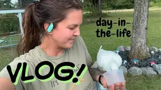 What Happens at an Exotic Animal Rescue in the Morning?