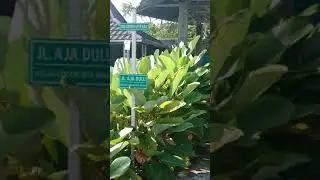 Miniatur Eiffel & Terraz Garden #oganilir #cafe #waterpark
