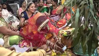 Prashant ❤️ Nandani | Wedding Highlights | A Beautiful Love Story