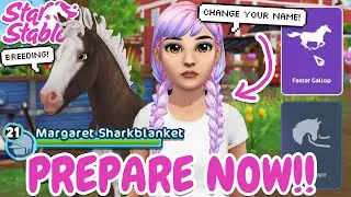 5+ THINGS TO PREPARE FOR! (HORSE PROGRESSION, BREEDING, NEW PLAYER CHARACTERS, & MORE!) STAR STABLE