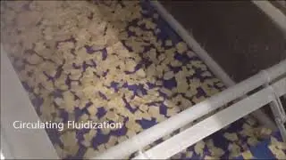 Filled Ravioli OctoFrost Frozen