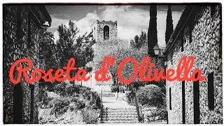 Roseta d'Olivella (Instrumental) - Acordi&oacute; Diatonic - TonetStuned - @TonetStuned