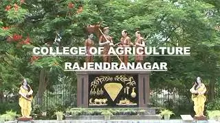 College of Agriculture, Rajendranagar, Hyderabad profile