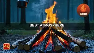 Summer Camp Bonfire | Ambient Background for Study & Sleep