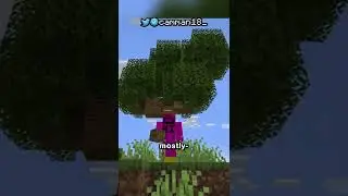 Minecraft.