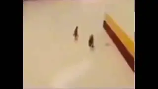 simon