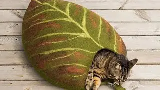 luxury cat bed design ideas