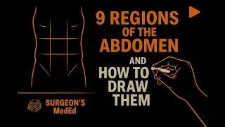 9 Regions of the Abdomen and How to Draw Them | Surface Marking | @SurgeonsMedEd