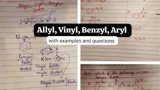 Allylic, Vinylic, Benzylic, Aryl@theexpeditiousstudy2367 