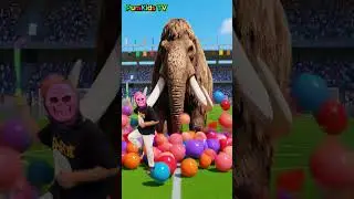 The mascot Vibrato Assistant Elephant on the football field is viral, co-produced, and creative