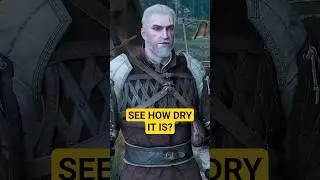 See How Dry It Is? - The Witcher 3