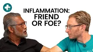 Your Gut Is on Fire: The Shocking Truth About Inflammation & Health | Don't Look Up